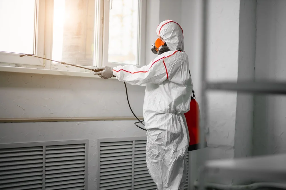 Professional mold remediation services in Dillon, CO